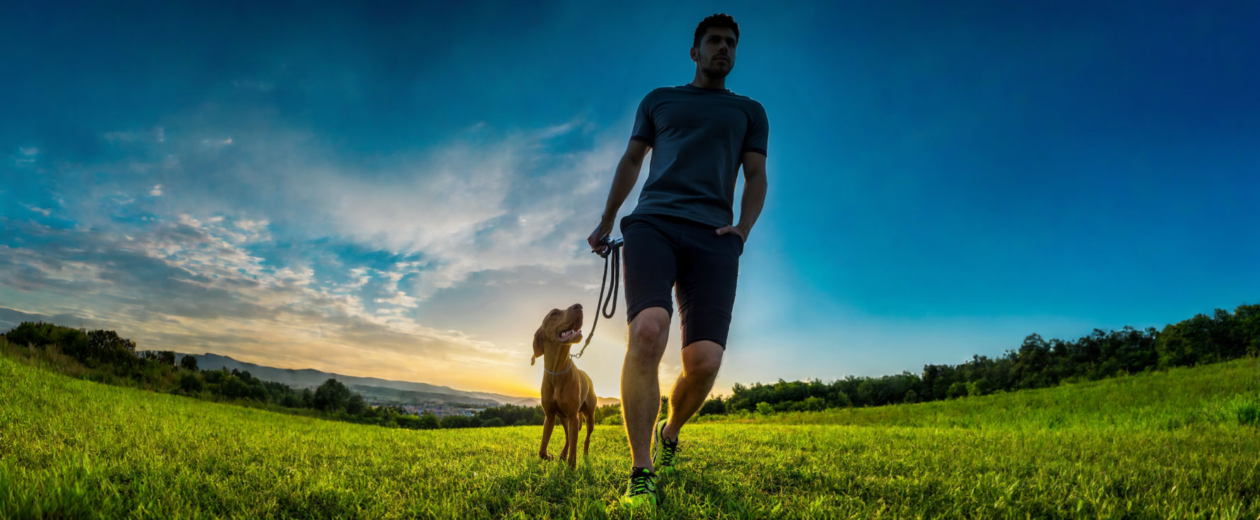 Dog Health Training in Perry UT