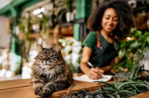 Cat Microchipping in Perry UT