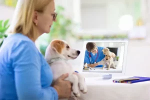 Virtual Vet Care in Perry, UT
